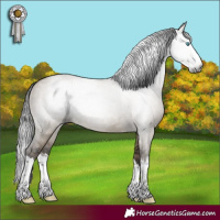 Horse Color:Gray Brown Dun Splash
