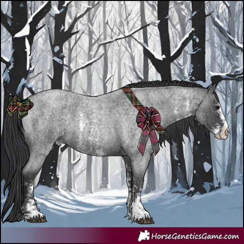 Horse Color:Blue Roan Sabino Splash and Blue Roan Sabino