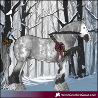 Horse Color:Blue Roan Sabino Splash and Blue Roan Sabino Splash