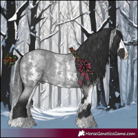 Horse Color:Blue Roan Sabino Splash  and Blue Roan Sabino Splash 