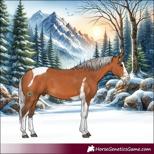 Horse Color:Silver Bay Splash Tobiano 