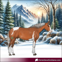 Horse Color:Silver Bay Splash Tobiano 