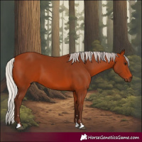 Horse Color:Silver Bay 