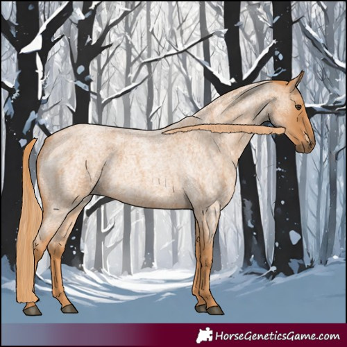 Horse Color:Red Roan 