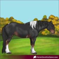 Horse Color:Liver Chestnut Tobiano 