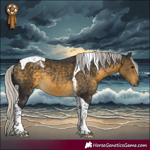 Horse Color:Silver Buckskin Tobiano Rabicano 