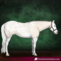 Horse Color:Silver Buckskin Roan Pearl Splash Blanket 