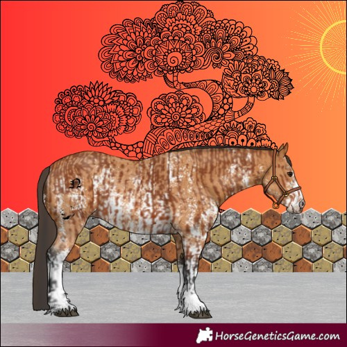 Horse Color:Bay Sabino Rabicano  and Buckskin Sabino Rabicano 