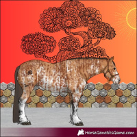 Horse Color:Bay Sabino Rabicano and Buckskin Sabino Rabicano