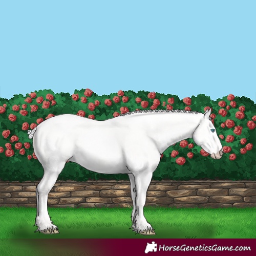Horse Color:Silver Perlino Dun 