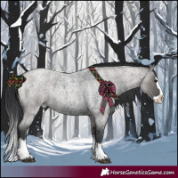 Horse Color:Blue Roan Sabino and Grullo Roan Sabino Splash