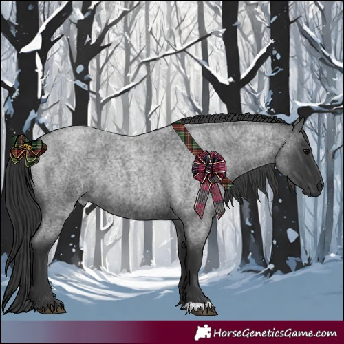 Horse Color:Blue Roan