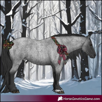 Horse Color:Blue Roan 