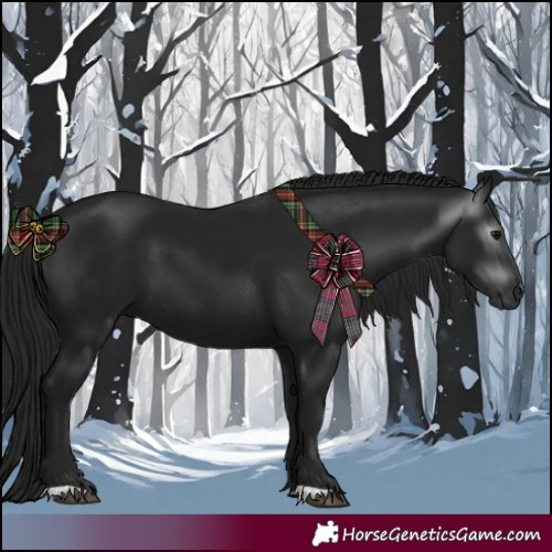 Horse Color:Gray Black 
