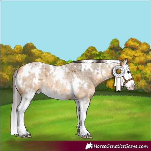 Horse Color:White Spotted Buckskin Roan Splash 