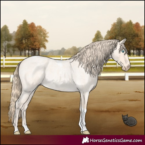 Horse Color:Perlino Roan Tobiano 