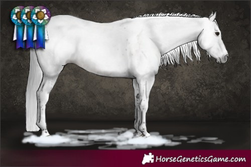 Horse Color:Gray White Spotted Brown Dun Tobiano 