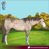 Horse Color:White Spotted Brown Dun Appaloosa Rabicano Brindle 