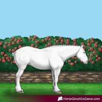 Horse Color:Silver Smoky Creme Dun 