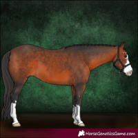 Horse Color:Brown 
