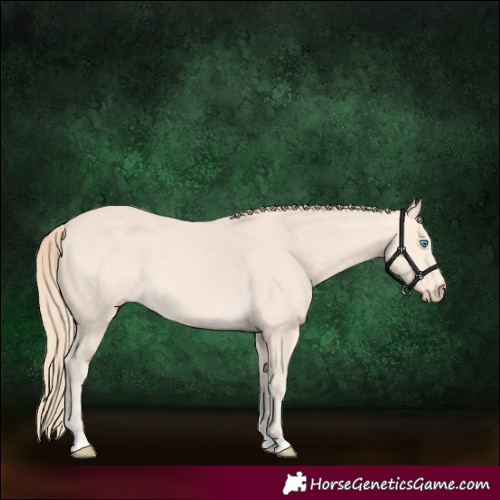 Horse Color:Perlino 