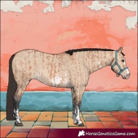 Horse Color:Bay Dun Sabino Rabicano  and Bay Dun Sabino Rabicano 