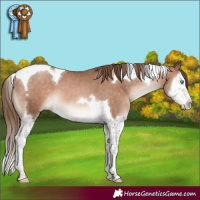 Horse Color:Brown Pearl Mushroom Splash Tobiano 