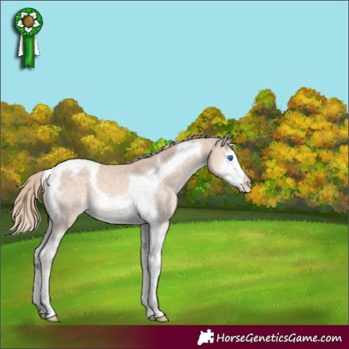 Horse Color:Perlino Mushroom Splash Tobiano Snowcap