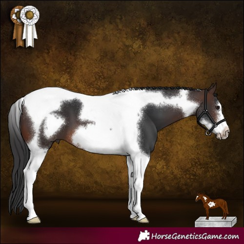 Horse Color:Brown Tobiano Frame 