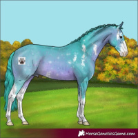 Horse Color:Watercolor Bay Sabino 