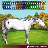 Horse Color:Silver Smoky Blue Roan Frame 