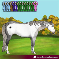Horse Color:Silver Smoky Blue Roan Frame 