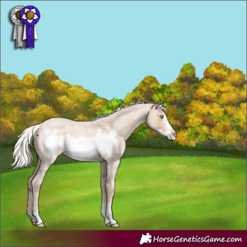 Horse Color:Silver Smoky Creme Roan Frame 