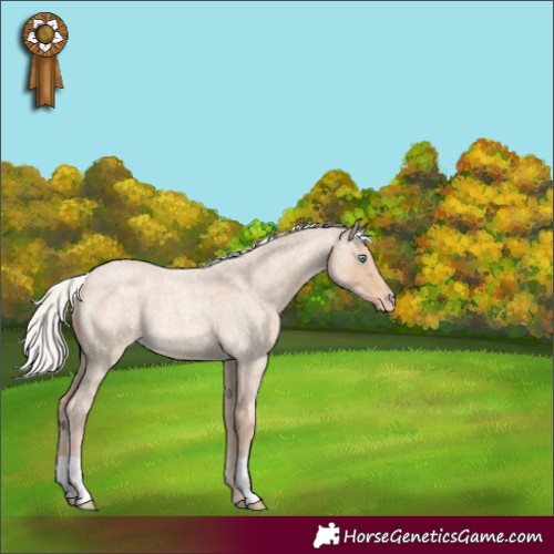 Horse Color:Silver Smoky Creme Roan 