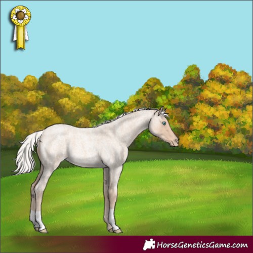 Horse Color:Silver Smoky Creme Roan 