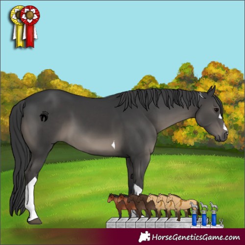 Horse Color:Black Tobiano 