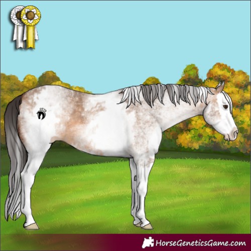 Horse Color:White Spotted Brown Dun Splash 