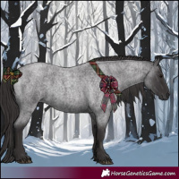 Horse Color:Smoky Blue Roan 