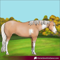 Horse Color:Silver Bay Pearl Sabino