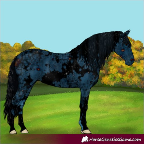 Horse Color:ERROR: UNKNOWN ANOMALY