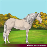 Horse Color:Cremello Tobiano