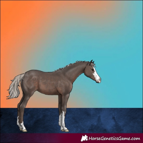 Horse Color:Silver Black 