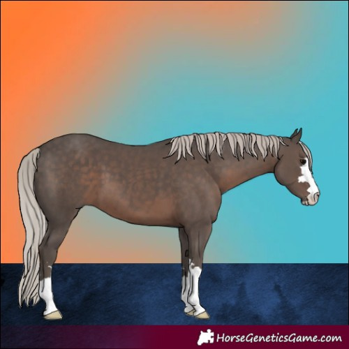 Horse Color:Silver Black 