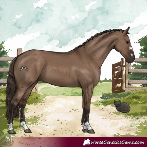 Horse Color:Liver Red Dun 