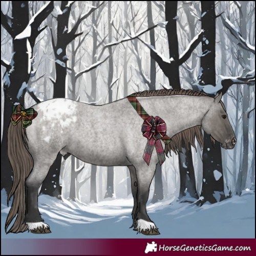 Horse Color:Grullo Roan Blanket