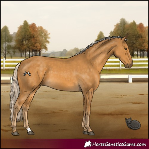 Horse Color:Palomino 