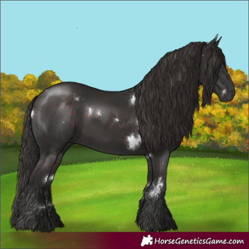 Horse Color:White Spotted Liver Chestnut 