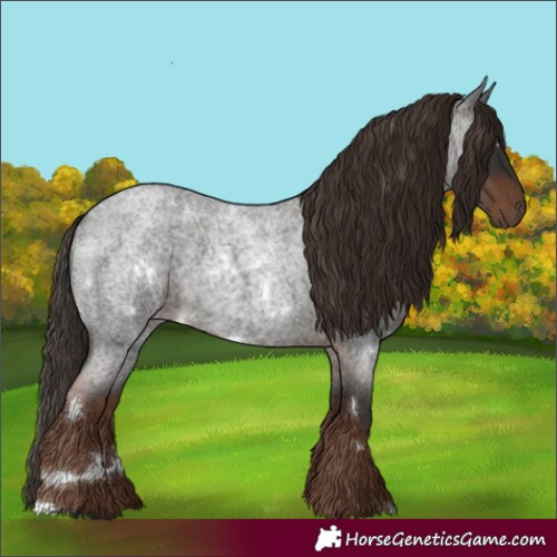 Horse Color:White Spotted Liver Red Roan 
