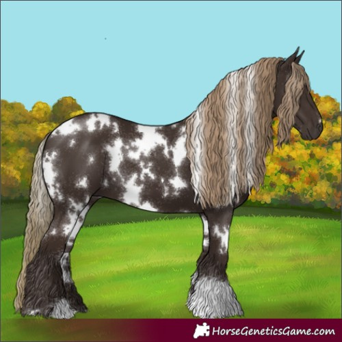 Horse Color:White Spotted Liver Chestnut 