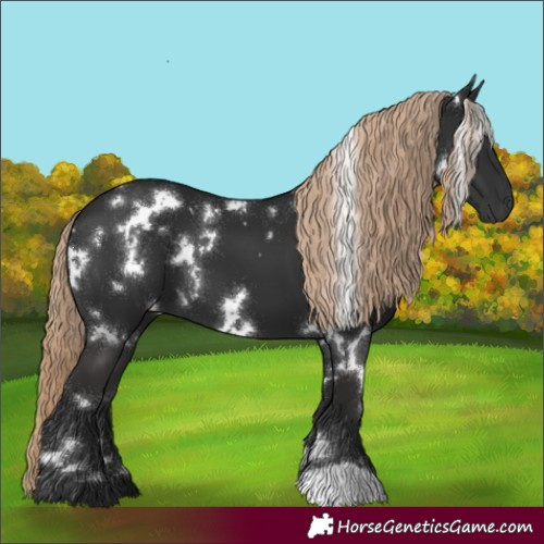 Horse Color:White Spotted Liver Chestnut 